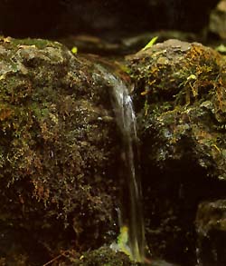 Rock Water